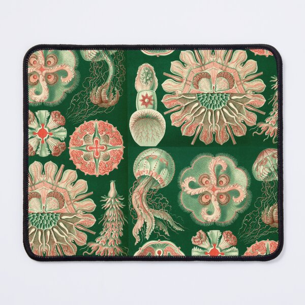 Item preview, Haeckel Discomedusae designed and sold by Black-Arts.