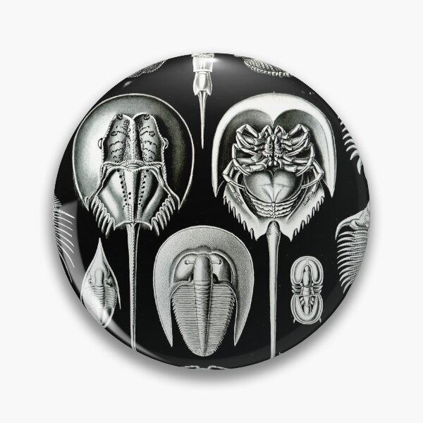 Item preview, Haeckel Aspidonia designed and sold by Black-Arts.