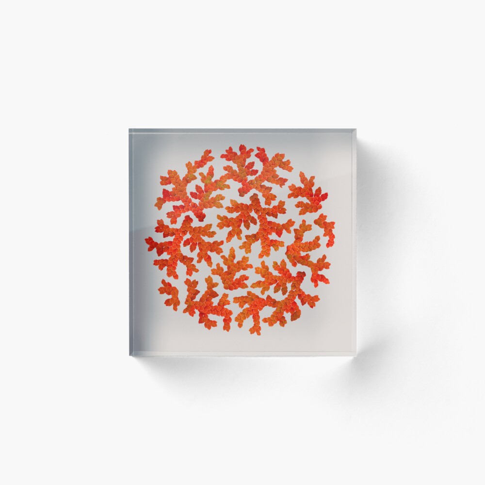 Item preview, Acrylic Block designed and sold by RJJB.