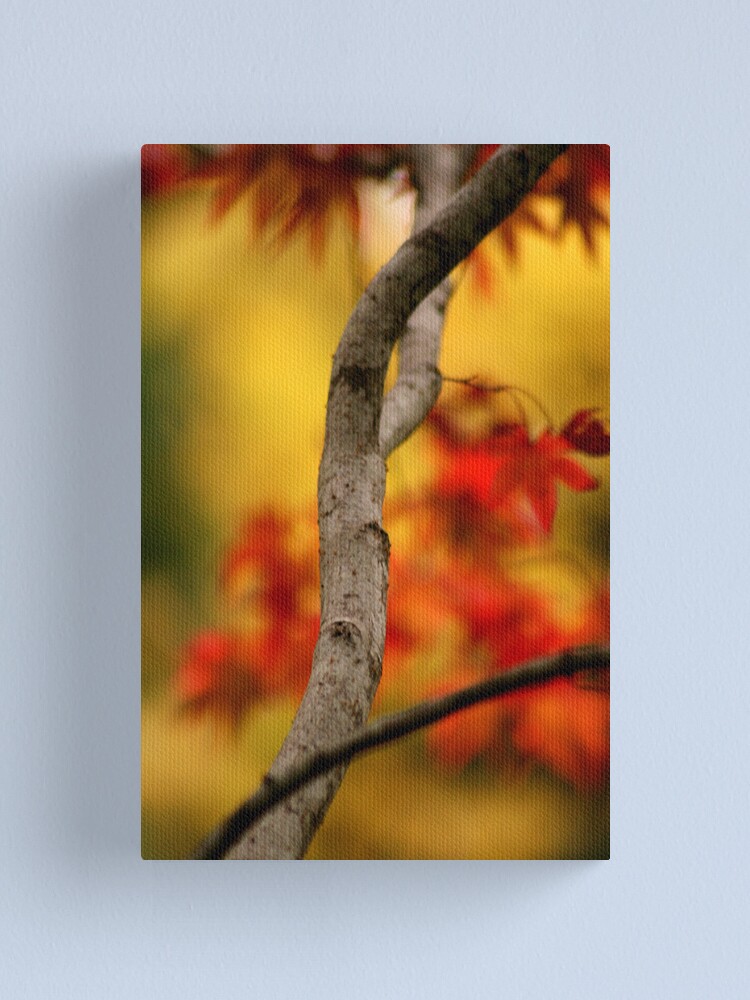 Alternate view of Autumnal colours Canvas Print