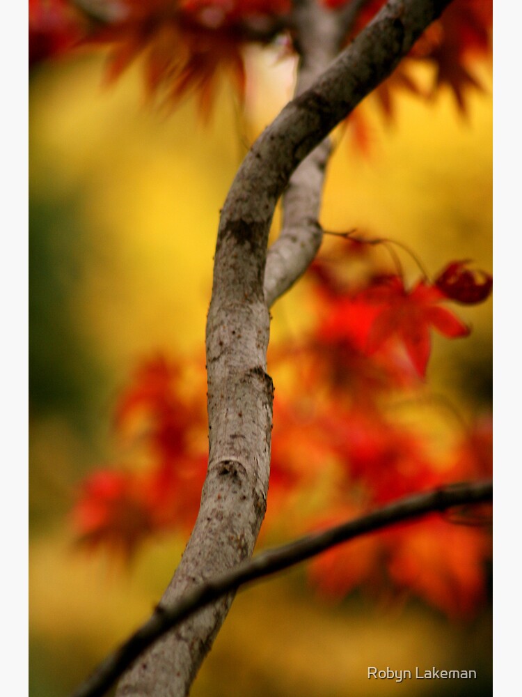 Autumnal colours by Rivergirl