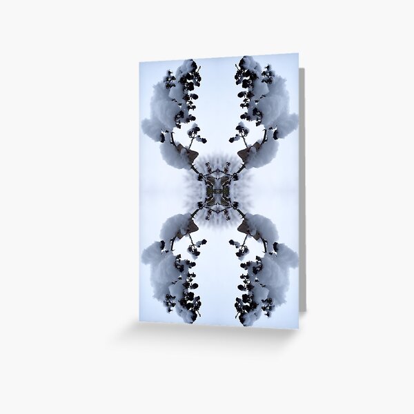 Snow Bow #1 Greeting Card