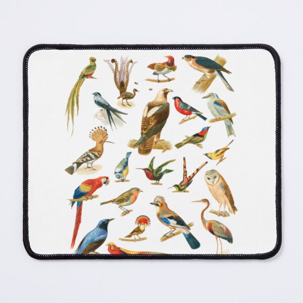 Item preview, 22 Species of Birds designed and sold by BestDesign87.