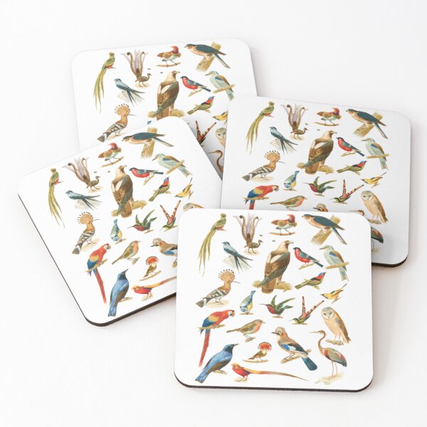 Item preview, 22 Species of Birds designed and sold by BestDesign87.