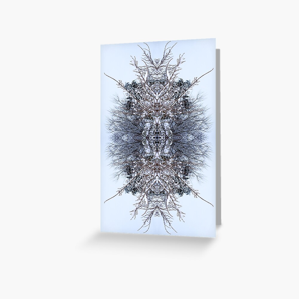 Snow Bow #5 Greeting Card