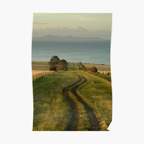 Spray Farm Lane Poster