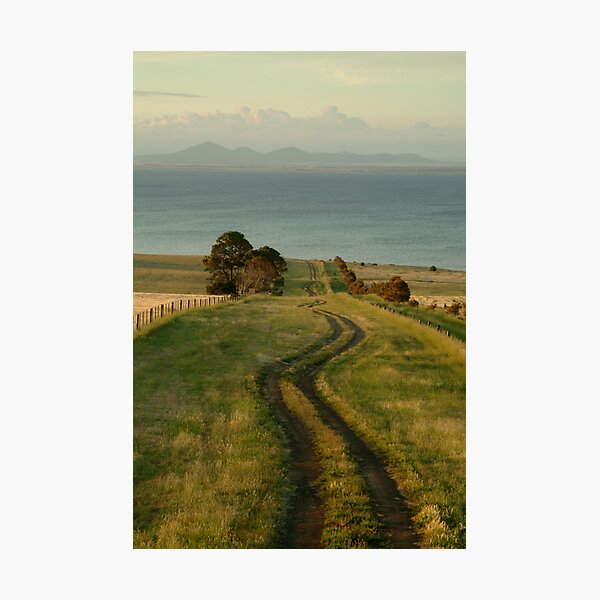 Spray Farm Lane Photographic Print