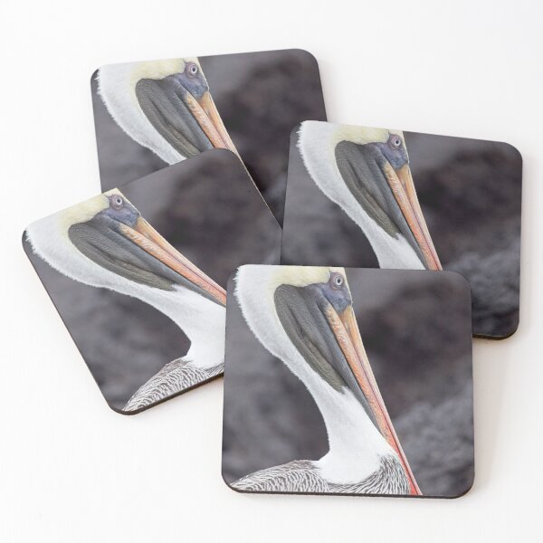 Item preview, Galapagos Brown Pelican designed and sold by Tristan Barrington Photography.