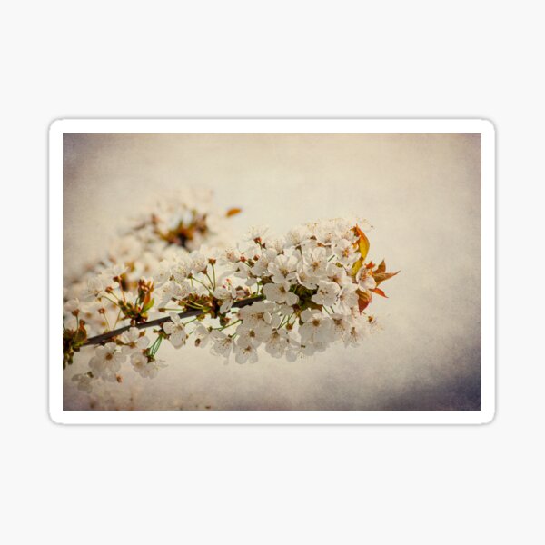 Item preview, Come, Meet Me designed and sold by Denise Abé.
