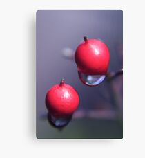 precious Canvas Print