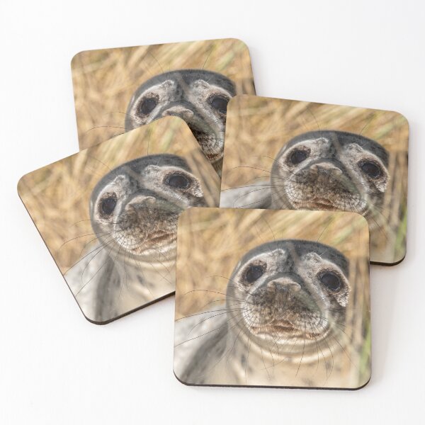 Item preview, Horsey Gap seal pup designed and sold by cdkphotos.