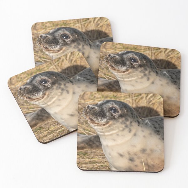 Item preview, Horsey Gap seal pup designed and sold by cdkphotos.