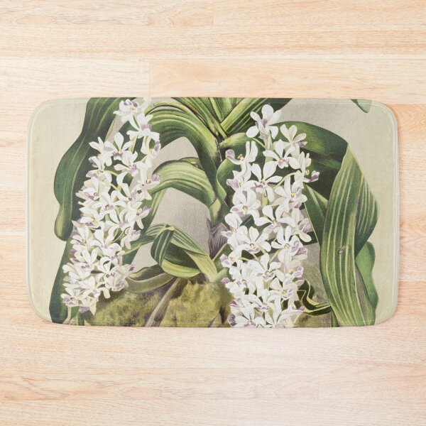Item preview, Reichenbachia: Orchids Illustrated and Described designed and sold by EsotericBotanic.