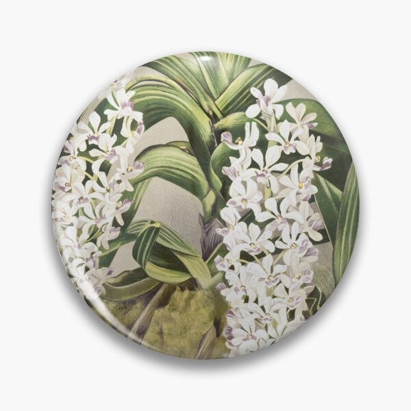 Item preview, Reichenbachia: Orchids Illustrated and Described designed and sold by EsotericBotanic.