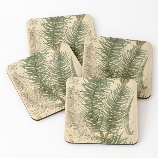 Item preview, Curtis's botanical magazine (Plate 2743) (8610030961) designed and sold by EsotericBotanic.