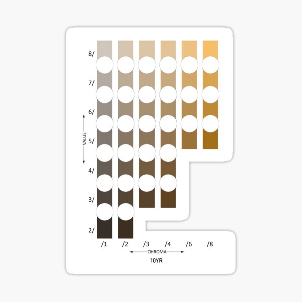 Item preview, Munsell Color System (10YR) designed and sold by WalkerCrane.