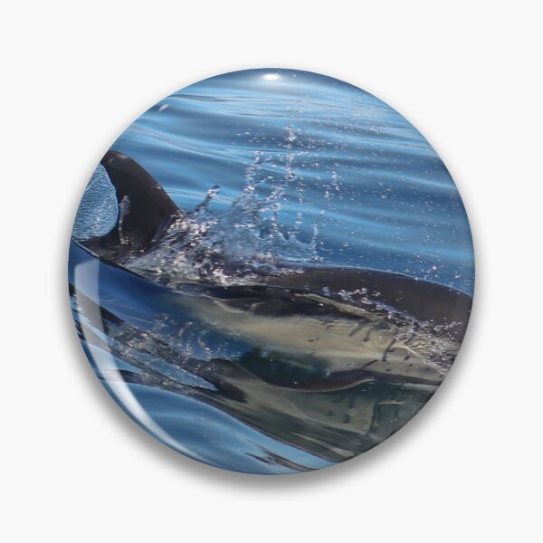 Item preview, Dolphin Surfing in Boat Wake Calm Waters designed and sold by Stephanie Laird.