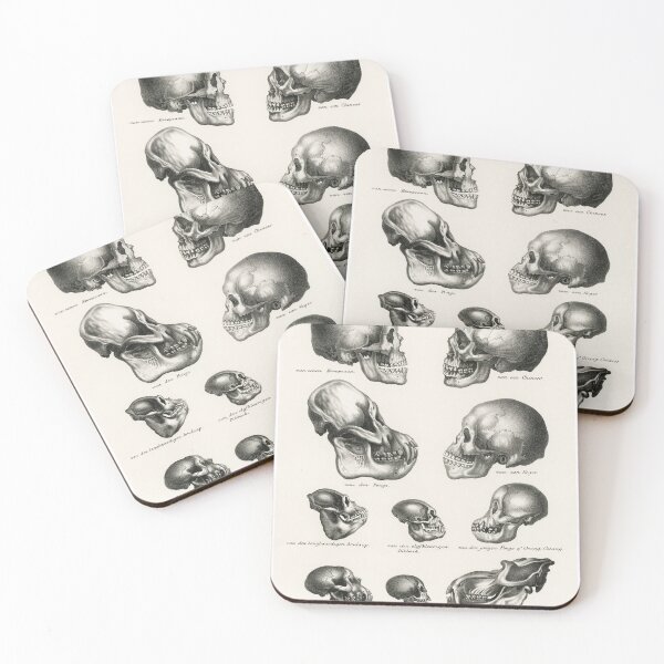 Item preview, Skulls designed and sold by SummerTshirt.