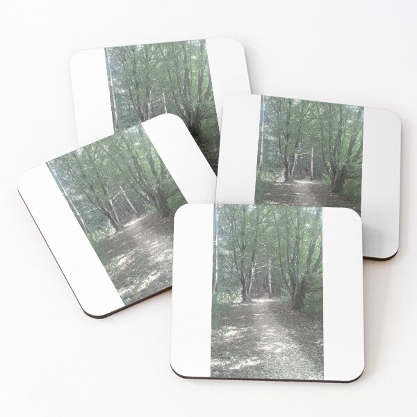 Item preview, Dhamma Padhana, England, walk through the woods,  Summer 2018. designed and sold by tdkrbooks.