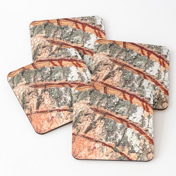 Item preview, log and sap 3. designed and sold by Nino rocha fotografia.