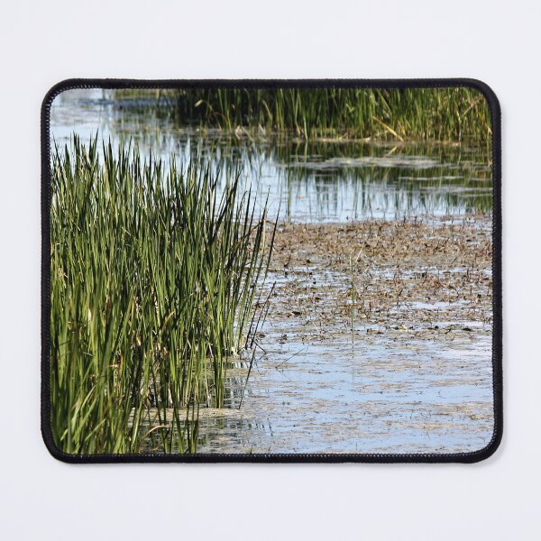 Item preview, Serpentine Marsh designed and sold by photoclique.