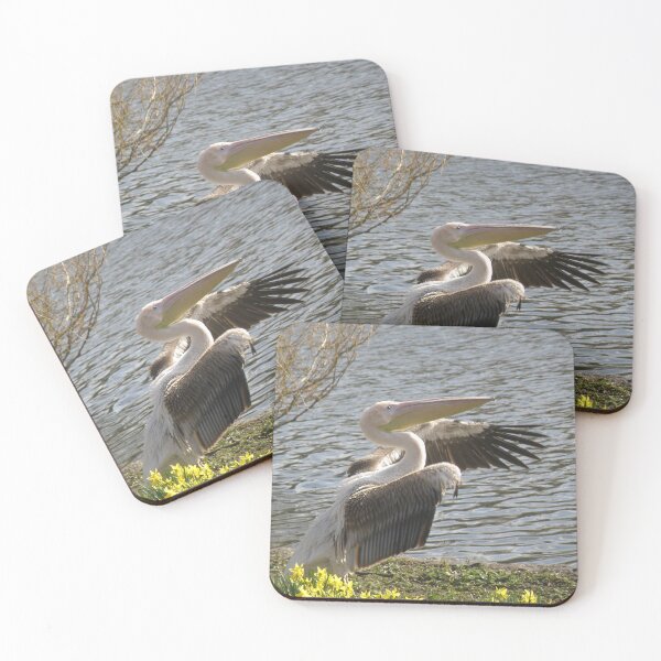 Item preview, Pelican Round Of Applause Photograph designed and sold by naturegallery.