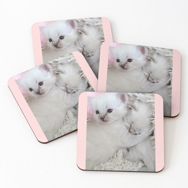 Item preview, Sweet ragdoll kittens designed and sold by Fluffycat2020.