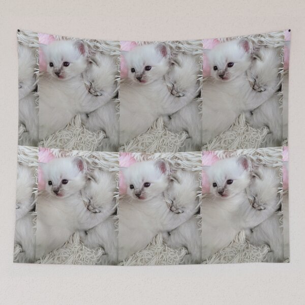 Item preview, Sweet ragdoll kittens designed and sold by Fluffycat2020.