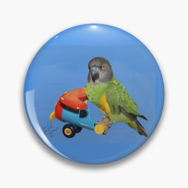 Item preview, Painting of a Senegal Parrot on a Toy Airplane designed and sold by Laughing Parrot Studio.