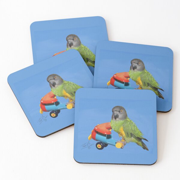 Item preview, Painting of a Senegal Parrot on a Toy Airplane designed and sold by Laughing Parrot Studio.