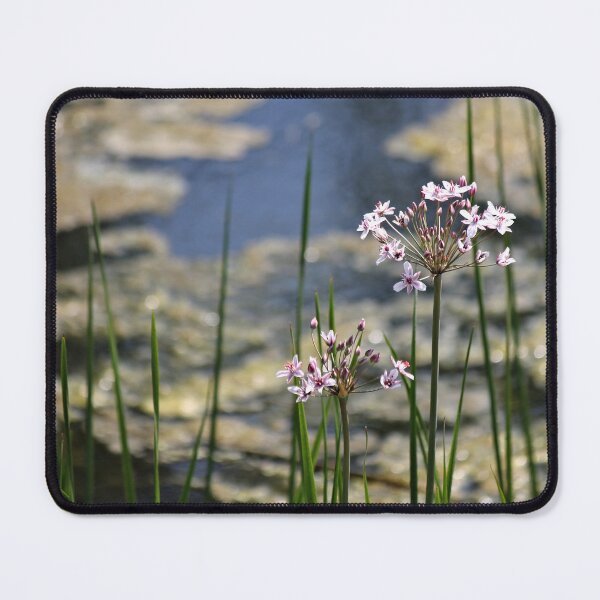 Item preview, Wild Garlic designed and sold by photoclique.