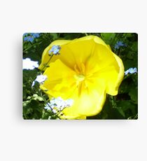 Flower Canvas Print