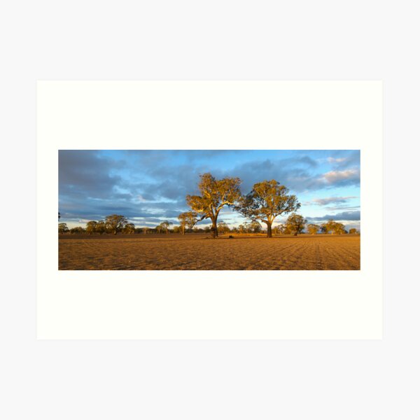 Drought-Stricken Farm Art Print