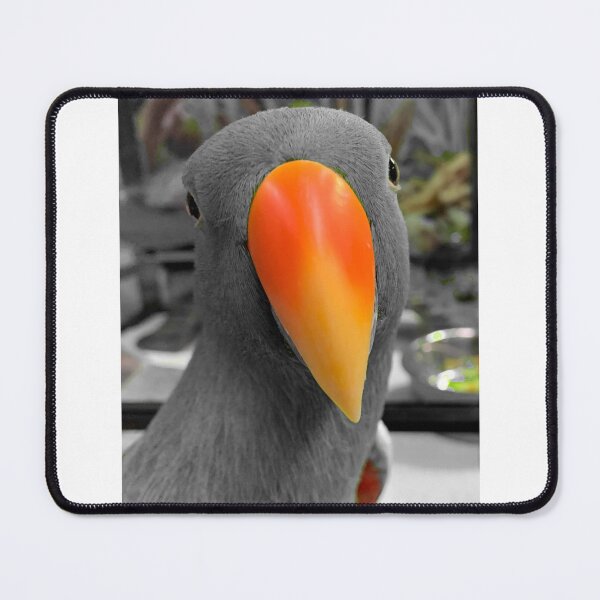 Item preview, Gifts and products derived from the Eclectus parrot designed and sold by The-Best-Arts.