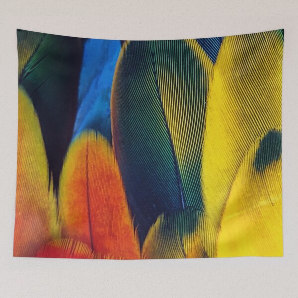 Item preview, Colorful fearher designed and sold by KrissWorld4350.