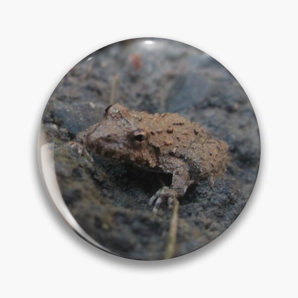 Item preview, Small Frog designed and sold by Krystina Starks.