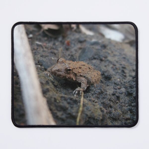 Item preview, Small Frog designed and sold by Krystina Starks.
