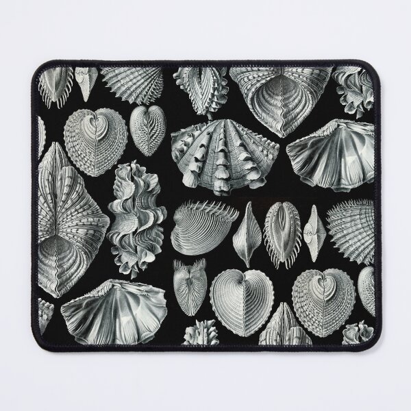 Item preview, Natural World - Haeckel Acephala designed and sold by Black-Arts.