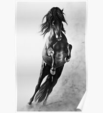"On Wings of Faith" - Andalusian stallion Poster