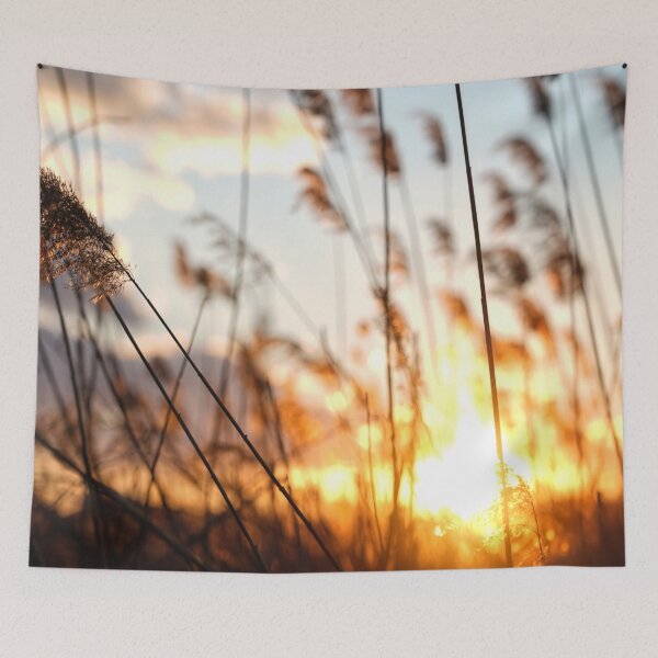 Tapestry