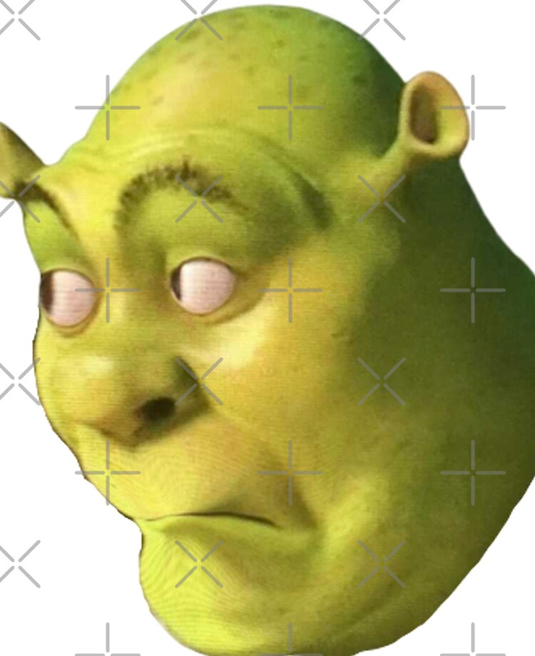 Shrek Meme Themed Crocs Shrek Gift Idea - CrocsBox