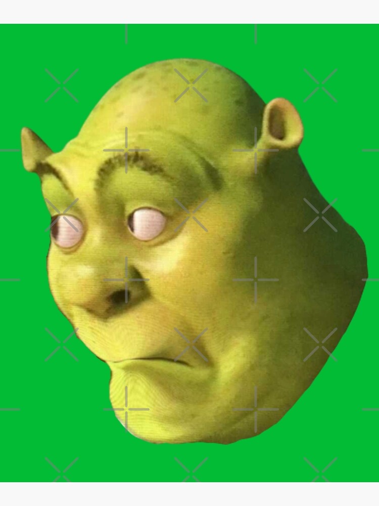 Shrek meme Photographic Print for Sale by Doflamingo99