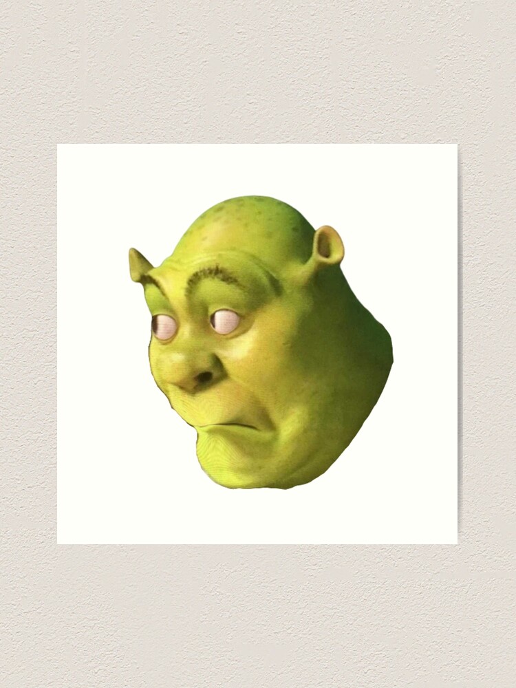 Shrek Funny 'WTF' Face Meme Photographic Print for Sale by AngelRoot