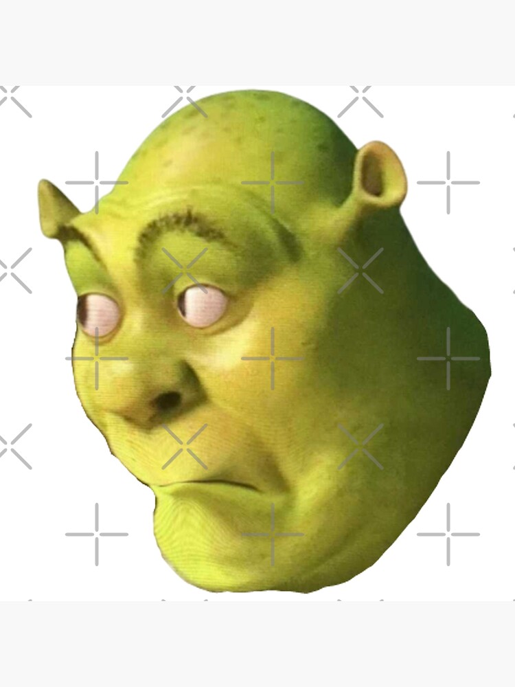 Shrek's funny face [1000x1000] : r/MemeRestoration