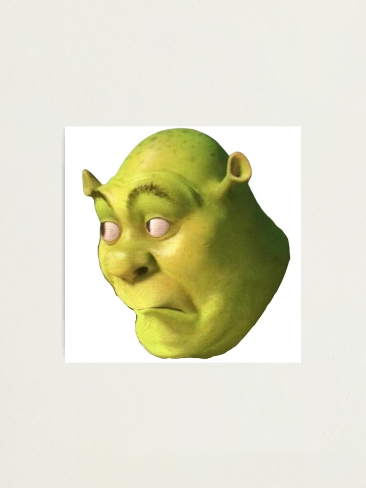 Shrek Meme Photographic Prints for Sale