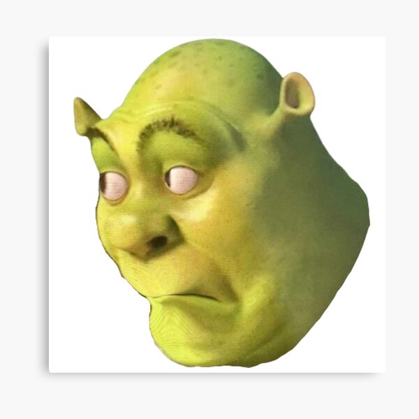 Screaming Shrek  Metal Print for Sale by SunnyMoonCrafts