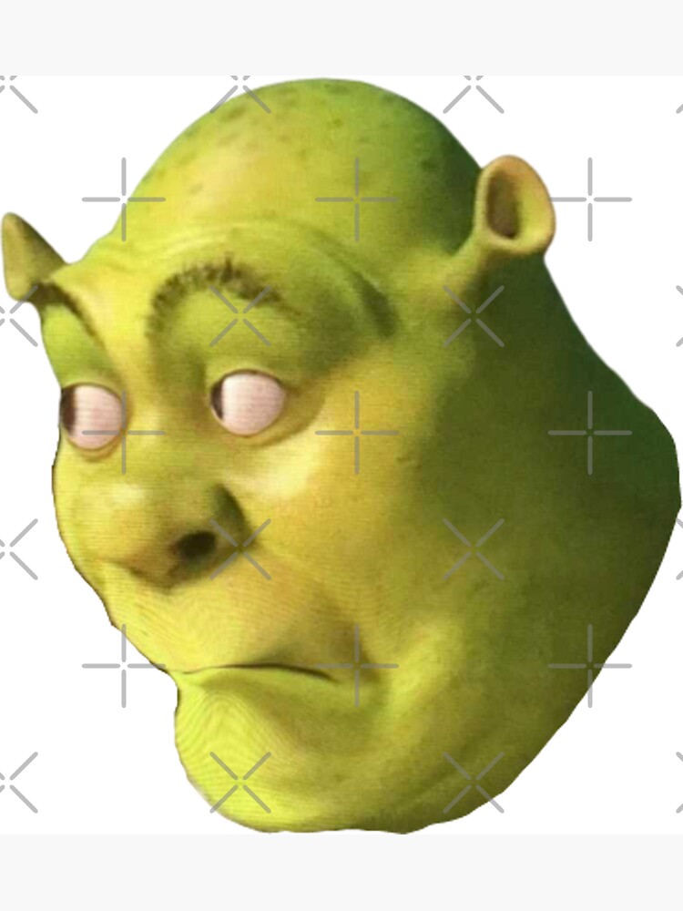 Tap to see the meme  Shrek, Funny photo memes, Shrek funny