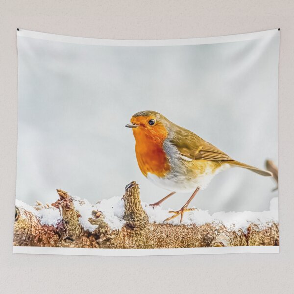Item preview, Robin in the Snow designed and sold by carrizizi.