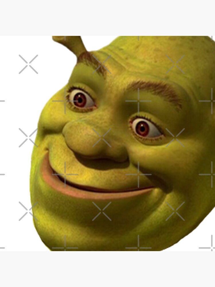 Shrek meme face - Shrek - Pin