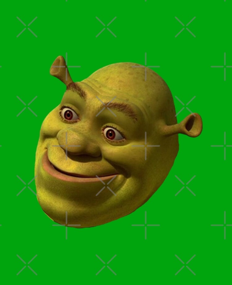Shrek Funny 'WTF' Face Meme | Photographic Print